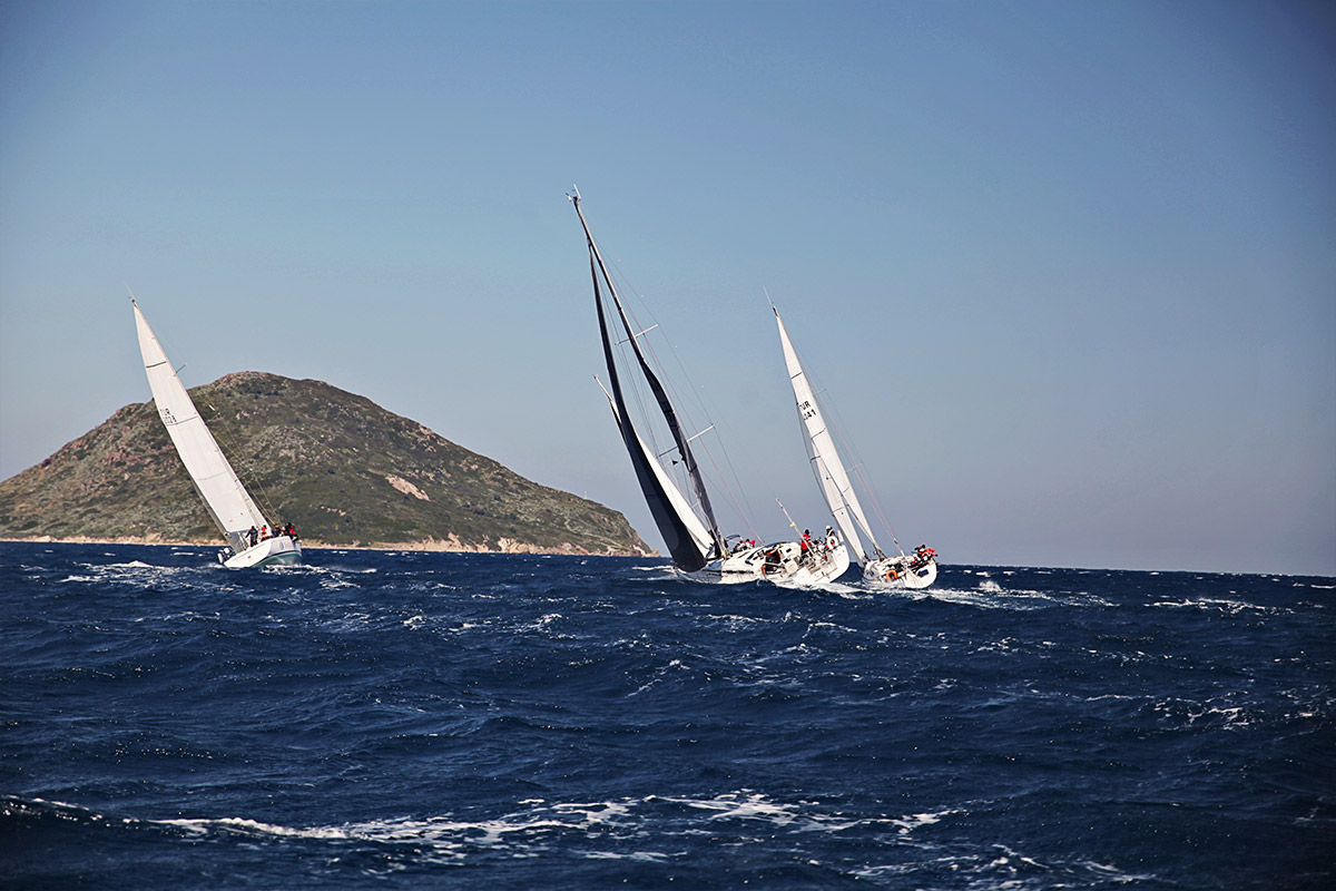 Navita Sailing Bodrum